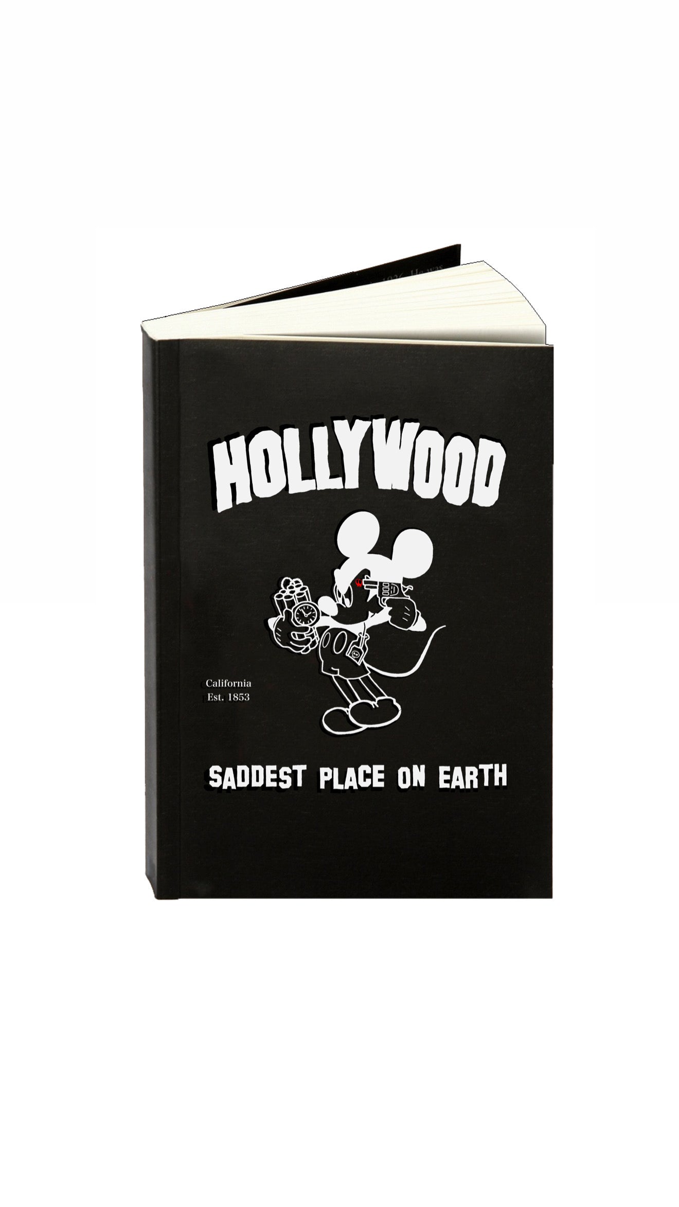 Saddest Place On Earth: Book